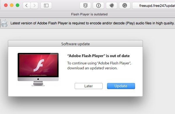 Adobe flash player plugin update for mac